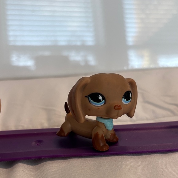 Littlest Pet Shop Trio -  Cat Orange, Dog Brown, and Dog Gray - Picture 3 of 4